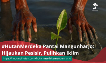 #HutanMerdeka Pantai Mangunharjo: Hijaukan Pesisir, Pulihkan Iklim