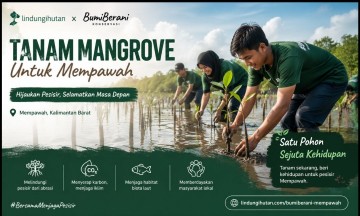 Campaign Bumiberani: Satu Bibit Mangrove, Sejuta Harapan