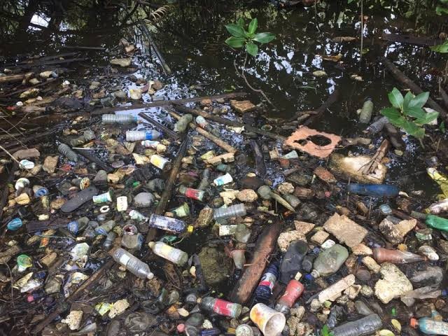 Banyak sekali sampah yang terlihat di sekitar mangrove
