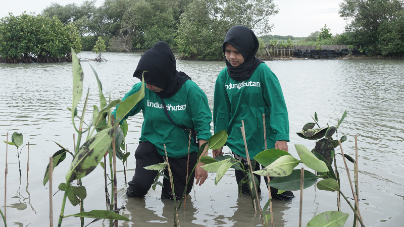 Penanaman kampanye alam "Pilah Sampah untuk Kartika Jaya Semakin Hijau" telah dilaksanakan pada 18 Februari 2023 di Pesisir Pantai Kartika Jaya, Kendal.