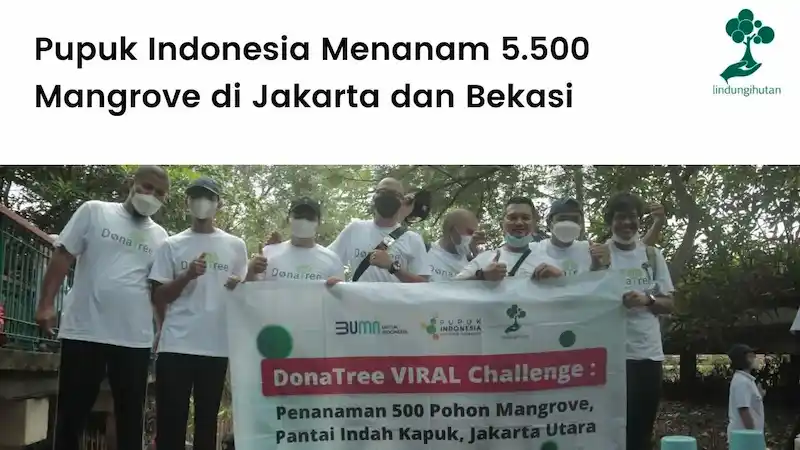 Gambar Artikel