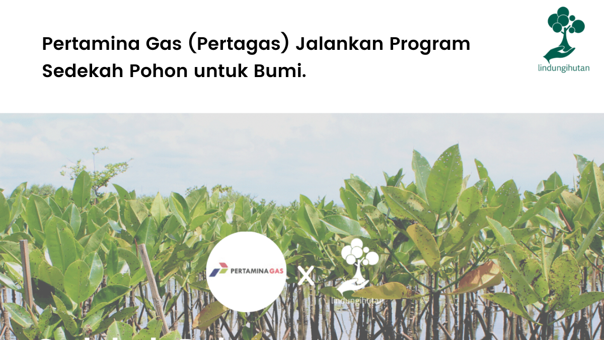 Pertamina Gas (Pertagas) CSR Program "Sedekah Pohon"