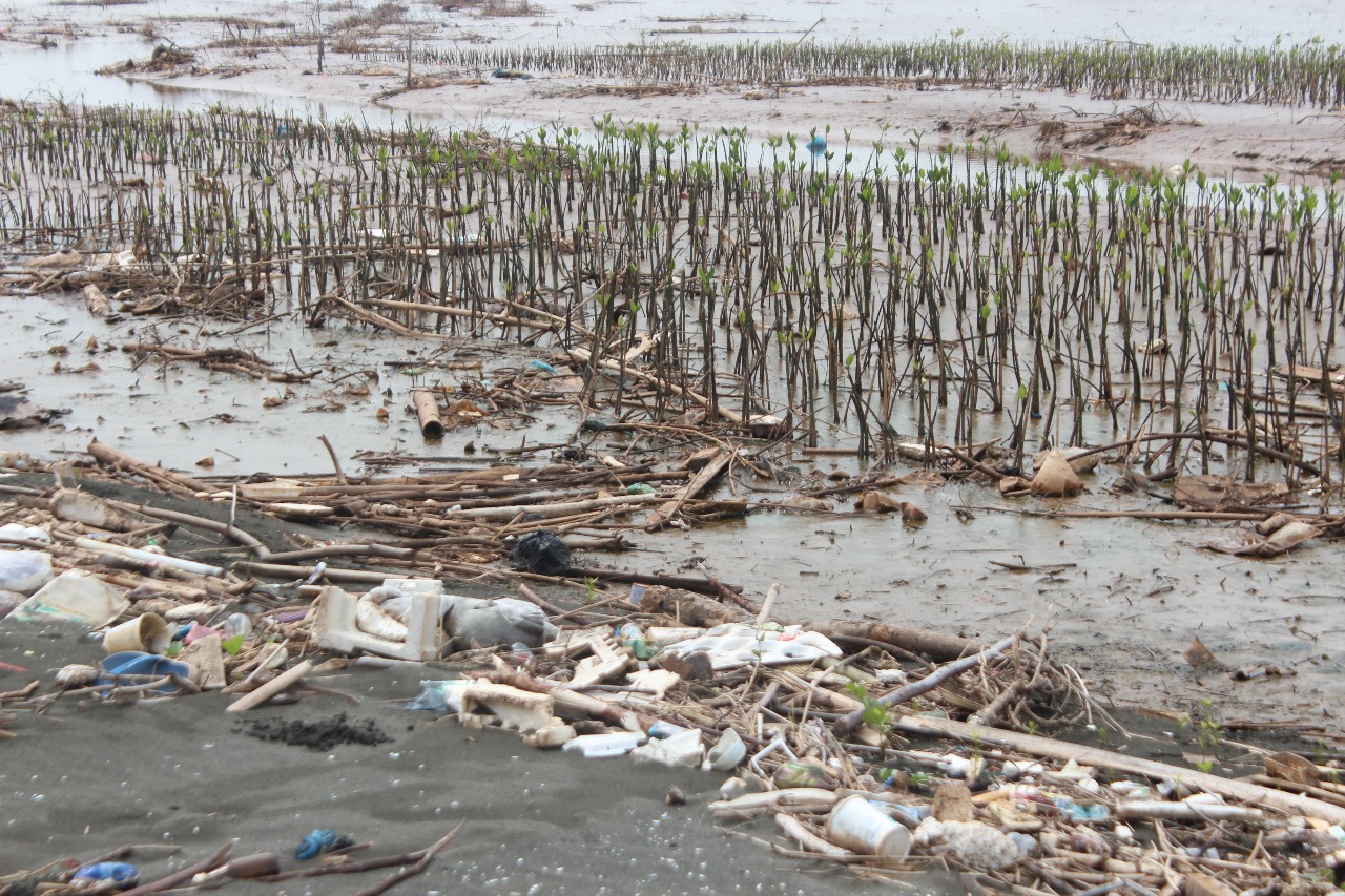 Kondisi pantai yang sebagian sudah di lakukan penanaman dan terdapat banyak sampah