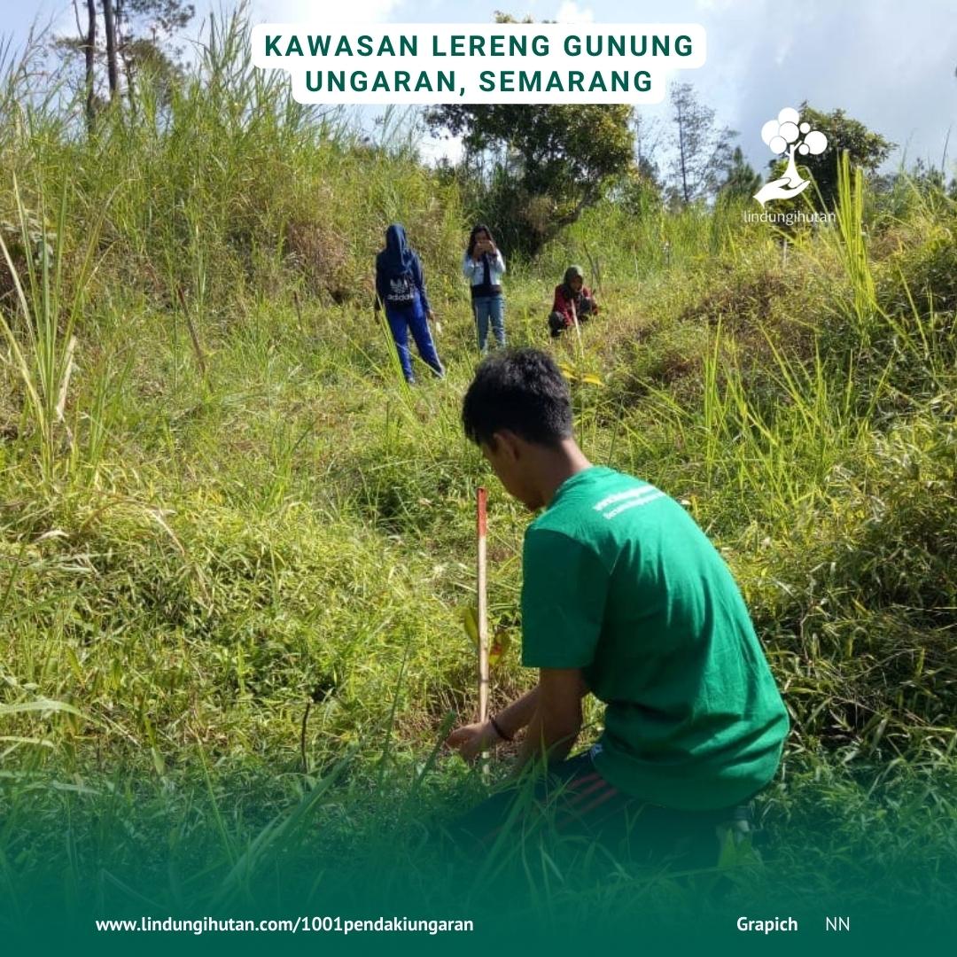Foto relawan lindungihutan sedang menanam bibit pohon di lereng Gunung Ungaran, Semarang.