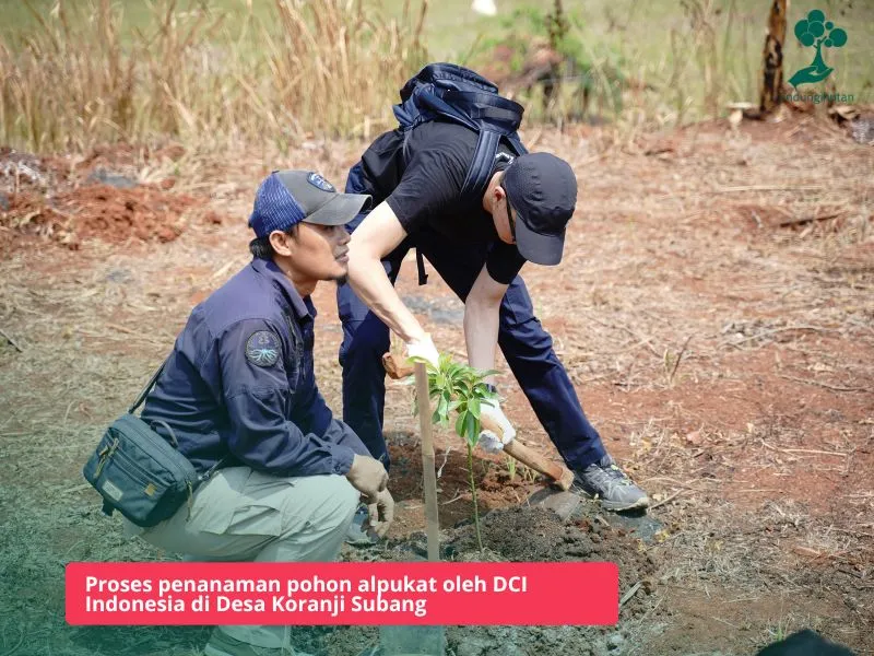 DCI Indonesia menanam pohon di Subang