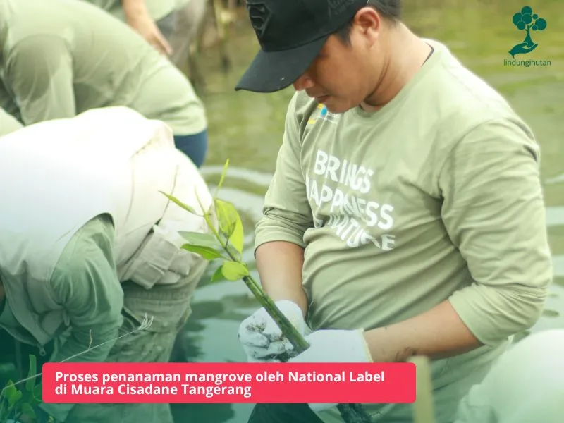 PT National Label menanam mangrove
