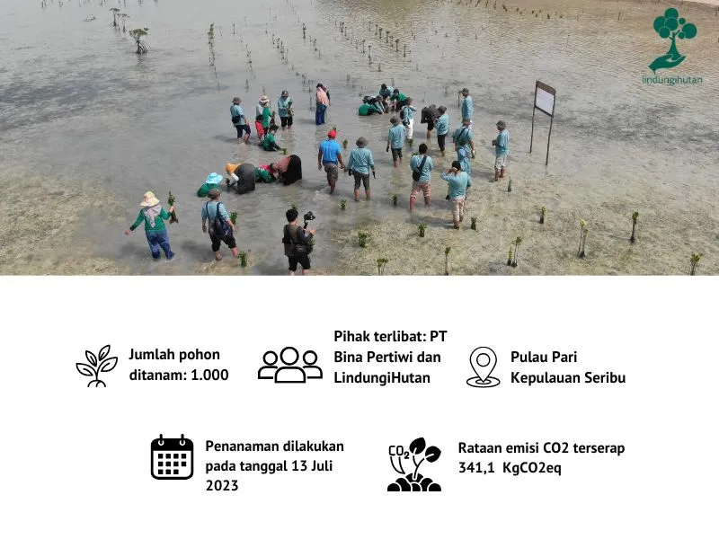 Penanaman mangrove PT Bina Pertiwi