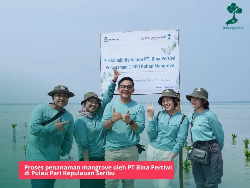 Program penanaman pohon PT Bina Pertiwi