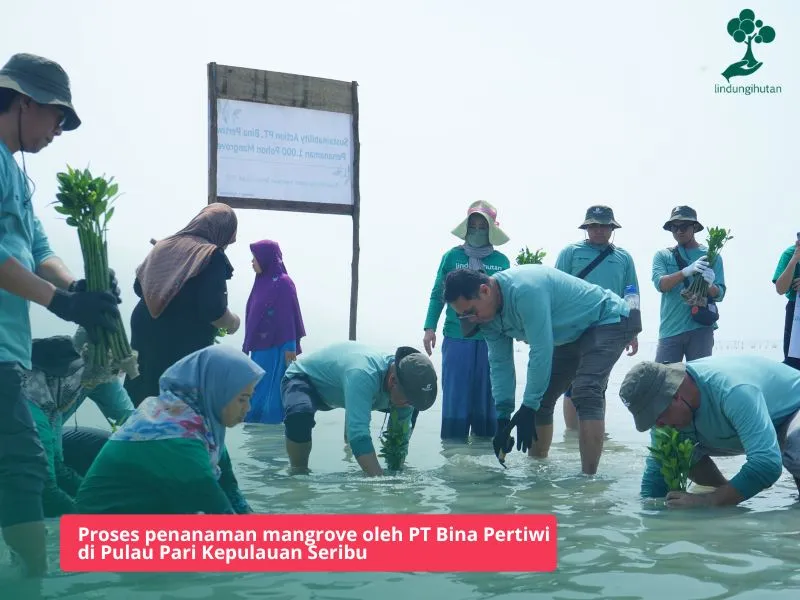 Program penghijauan PT Bina Pertiwi