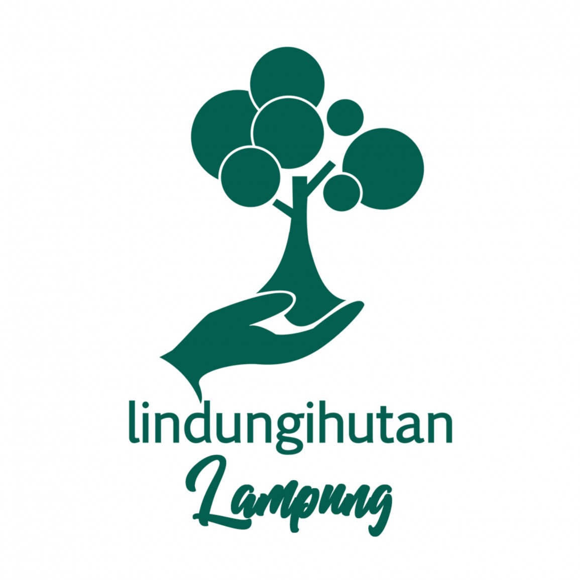 Relawan Lampung