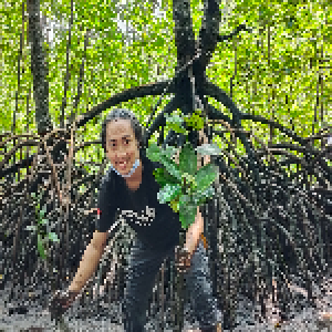 Keseruan menanam mangrove - LindungiHutan