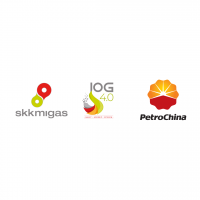 PetroChina International Jabung Ltd.