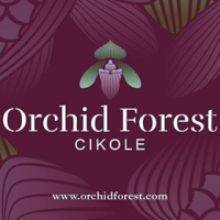 Orchid Forest Cikole