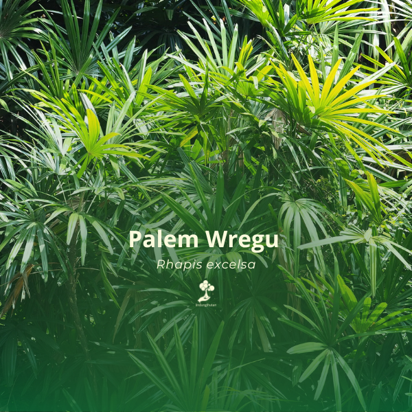 Palem Wregu