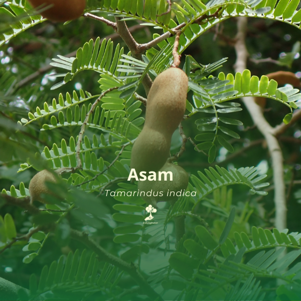 Asam