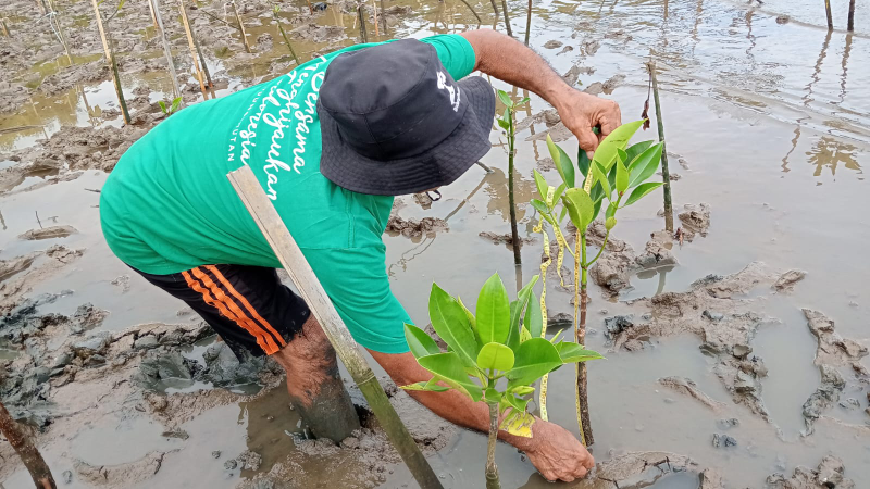 Gambar Monitoring