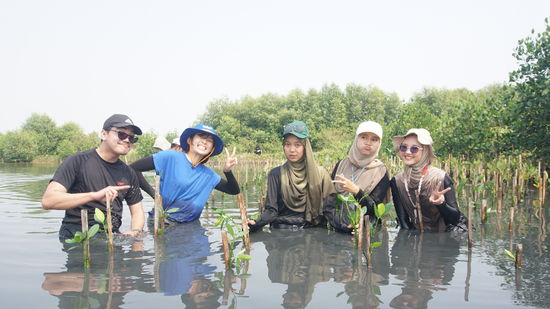 Gambar Monitoring