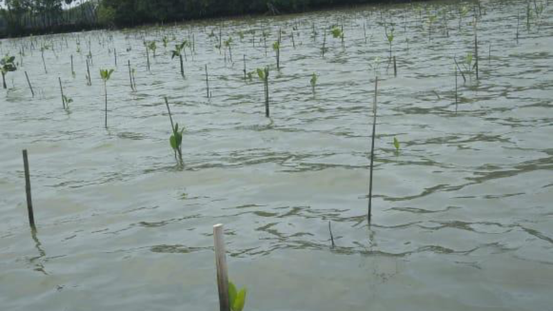 Gambar Monitoring