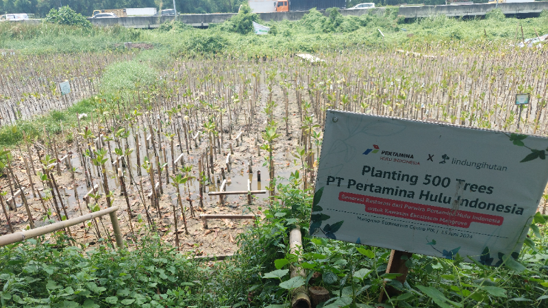 Gambar Monitoring