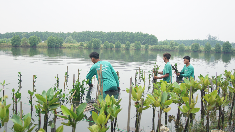 Gambar Monitoring