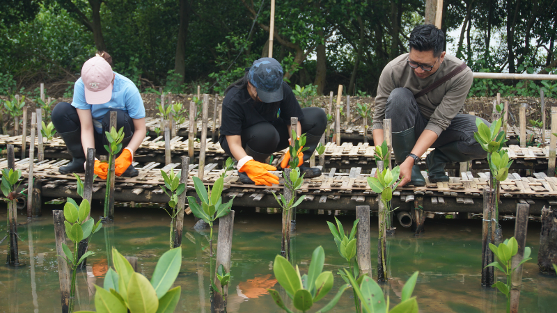 Gambar Monitoring