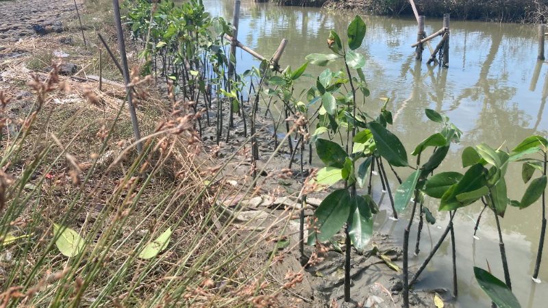 Gambar Monitoring