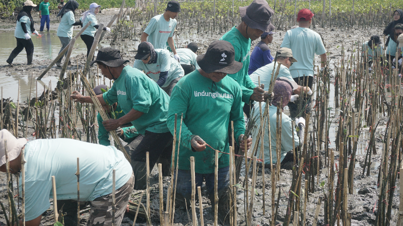 Gambar Monitoring