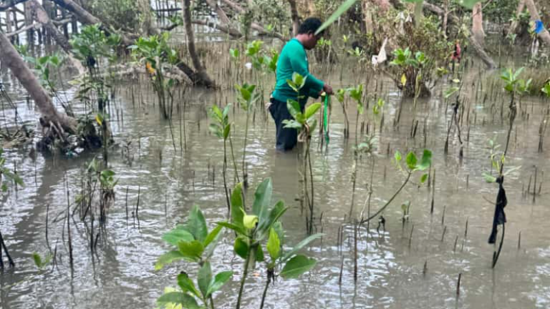 Gambar Monitoring