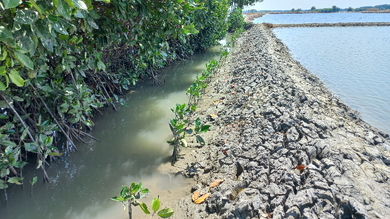 Gambar Monitoring