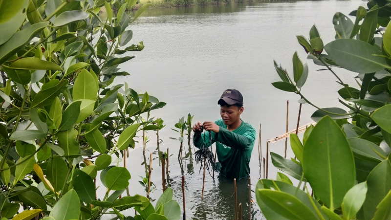 Gambar Monitoring