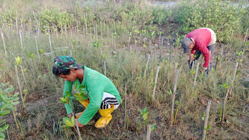 Gambar Monitoring