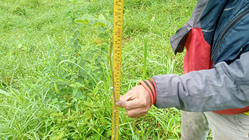 Gambar Monitoring