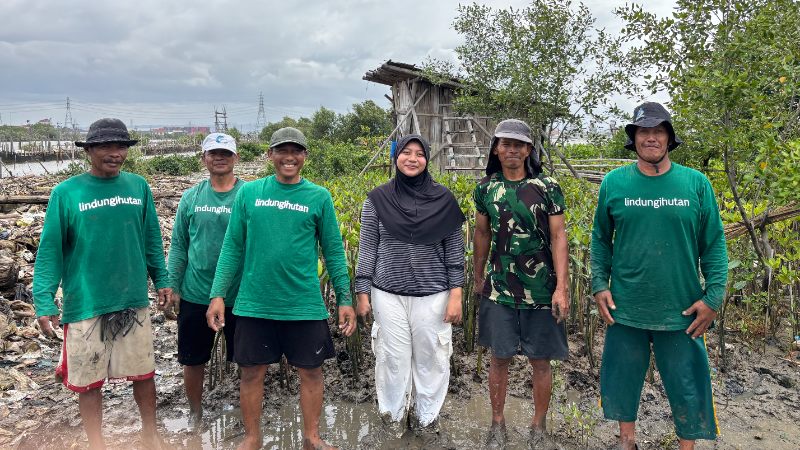 Gambar Monitoring