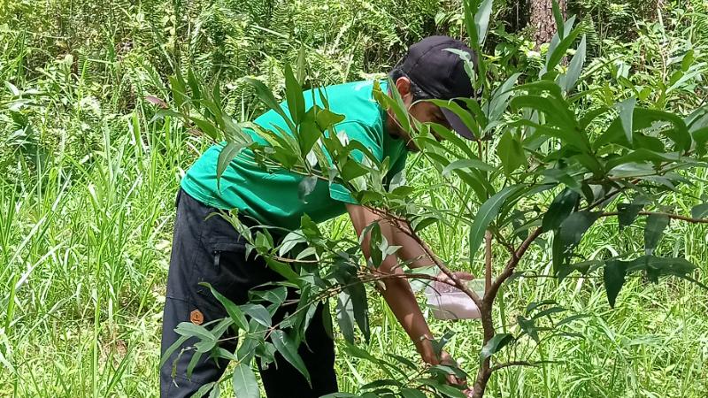 Gambar Monitoring