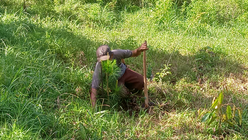 Gambar Monitoring