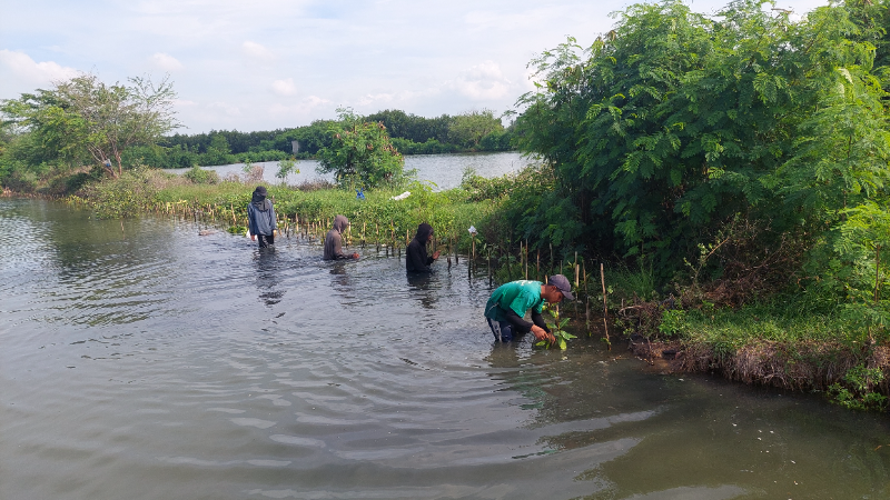Gambar Monitoring