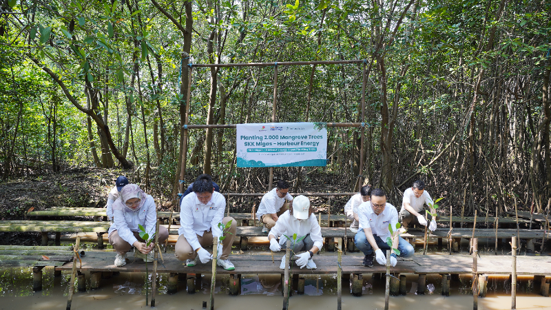 Gambar Monitoring