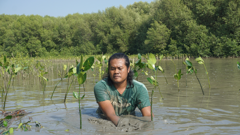Gambar Monitoring