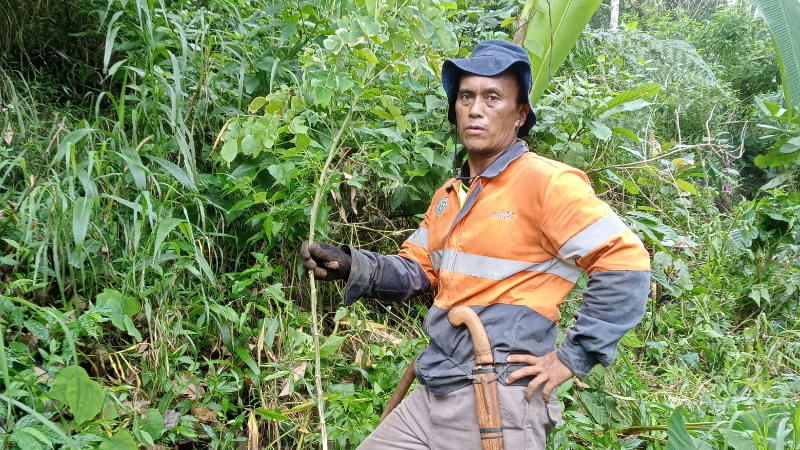 Gambar Monitoring