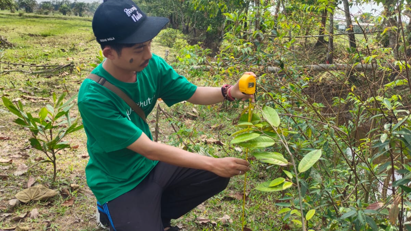 Gambar Monitoring