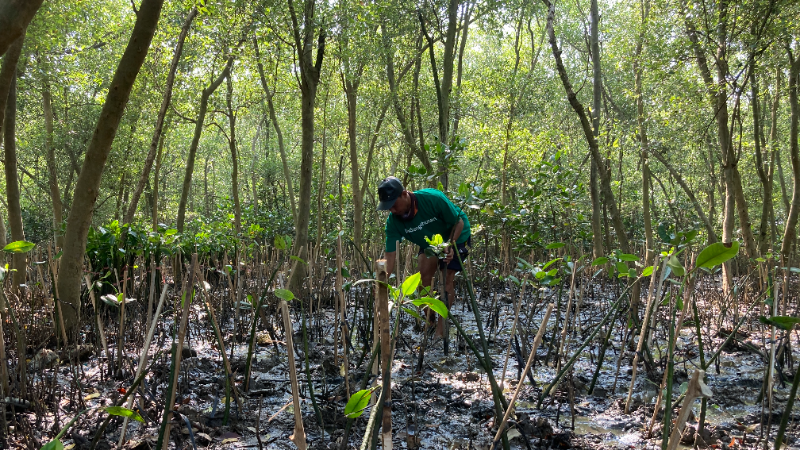 Gambar Monitoring