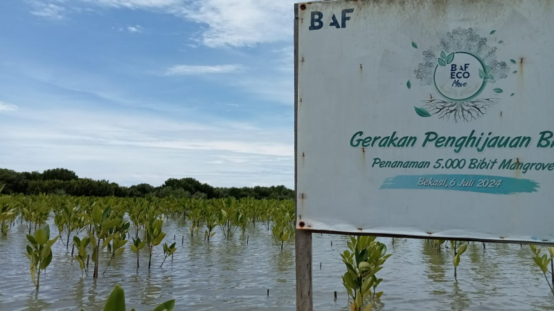 Gambar Monitoring