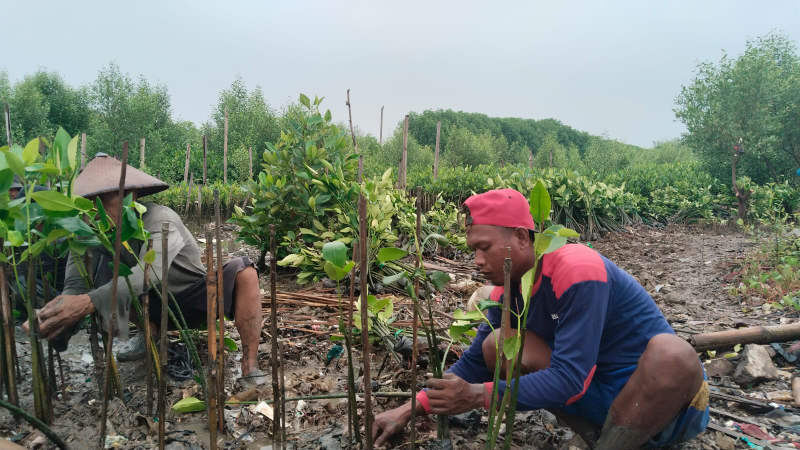 Gambar Monitoring