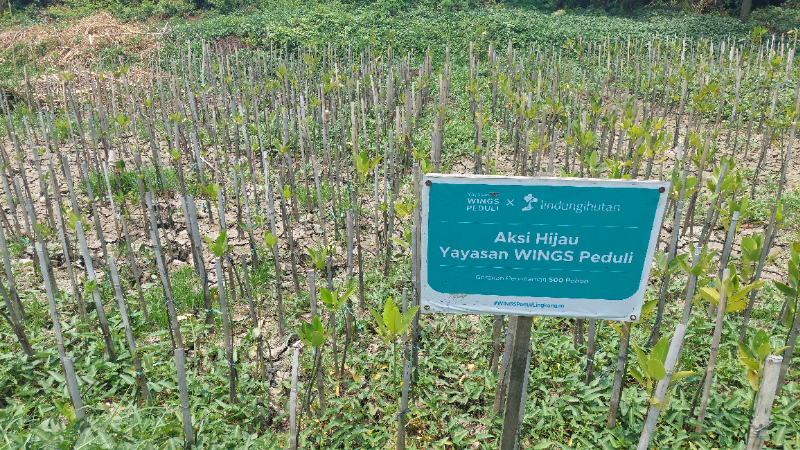 Gambar Monitoring