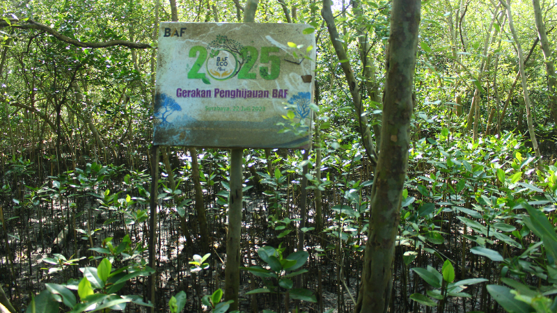 Gambar Monitoring