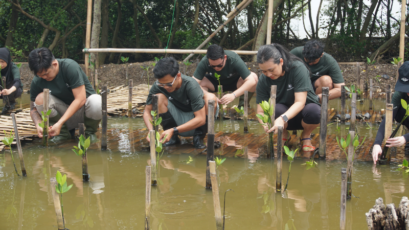 Gambar Monitoring