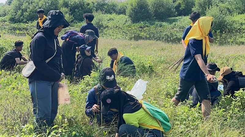 Gambar Monitoring