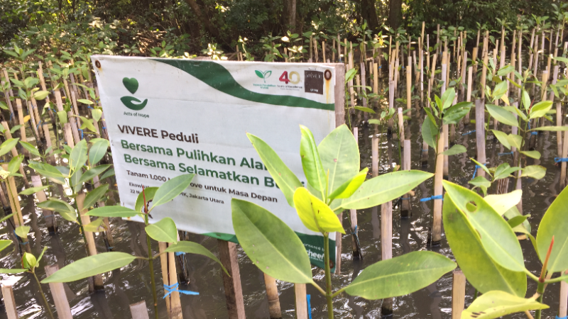Gambar Monitoring
