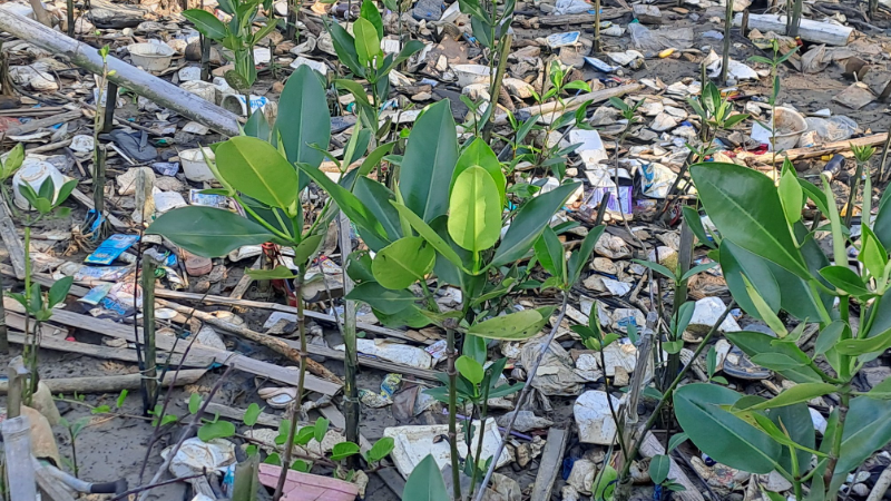 Gambar Monitoring