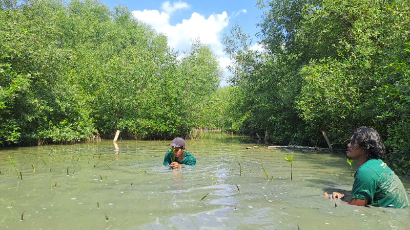Gambar Monitoring